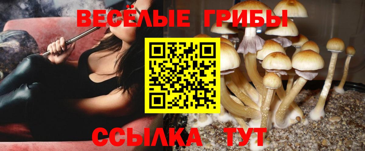 Галлюциногенные грибы мицелий Трёхгорный