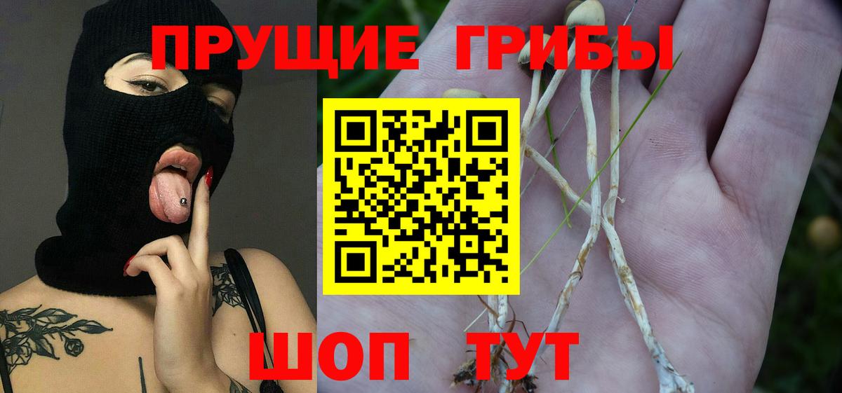 Трёхгорный  Псилоцибиновые грибы MAGIC MUSHROOMS  Вход с VPN 